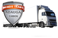 Oferte Transport International